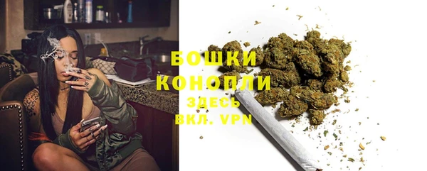 apvp Горнозаводск