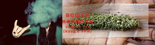 ГАЛЛЮЦИНОГЕННЫЕ ГРИБЫ Горняк