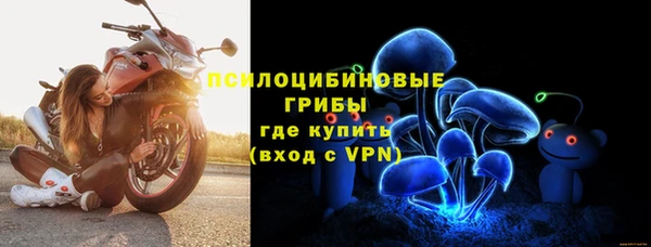 гашик Горно-Алтайск