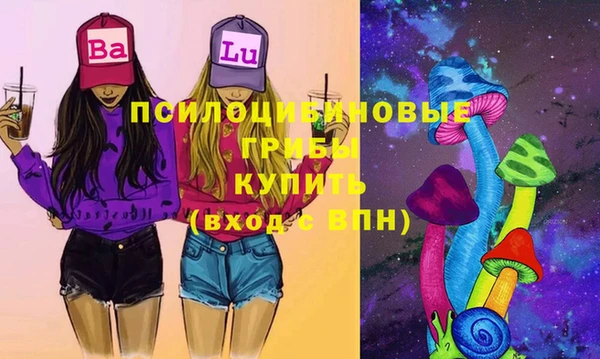 гашик Горно-Алтайск
