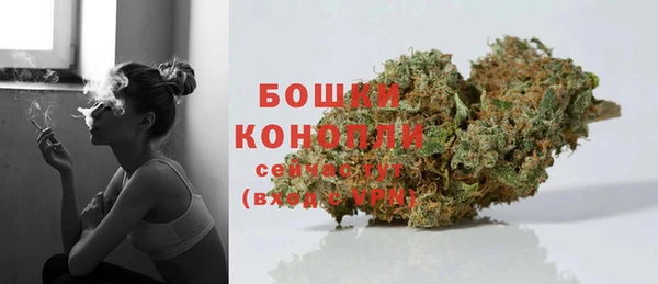 ГАЛЛЮЦИНОГЕННЫЕ ГРИБЫ Горняк