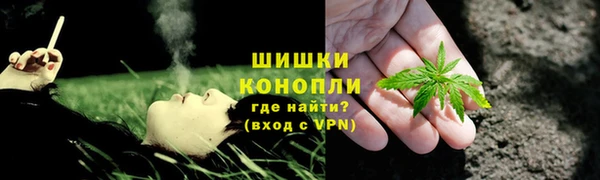 apvp Горнозаводск