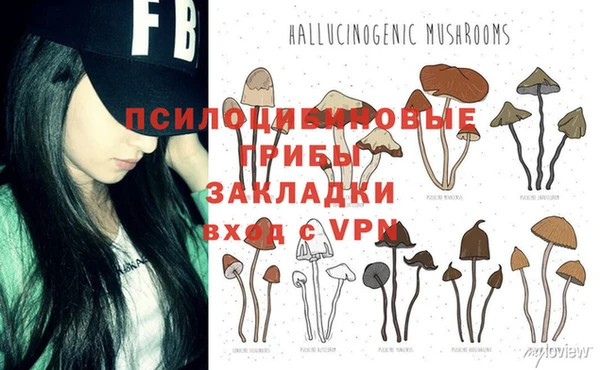 ГАЛЛЮЦИНОГЕННЫЕ ГРИБЫ Горняк