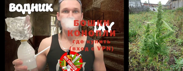 дживик Гусь-Хрустальный