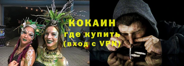 ГАЛЛЮЦИНОГЕННЫЕ ГРИБЫ Горняк