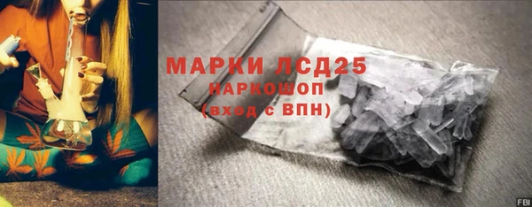 ГАЛЛЮЦИНОГЕННЫЕ ГРИБЫ Горняк