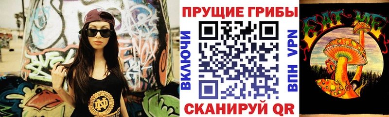 Купить закладки  Котлас  Галлюциногенные грибы MAGIC MUSHROOMS 